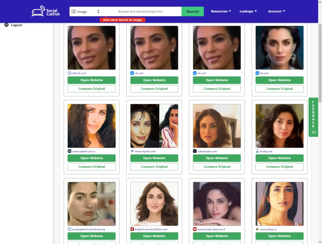 Social catfish